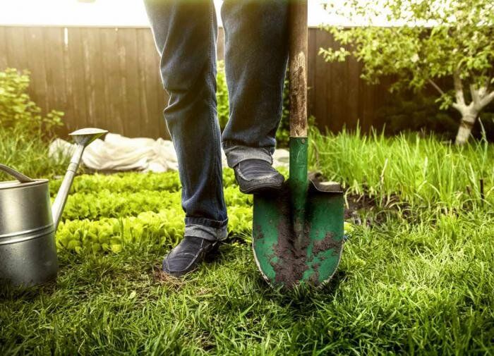 ������� ������ � ������ ������: ������ ��� ��������