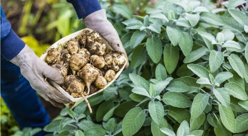 ����������: ����� ���������� ����� ��� �������� ������