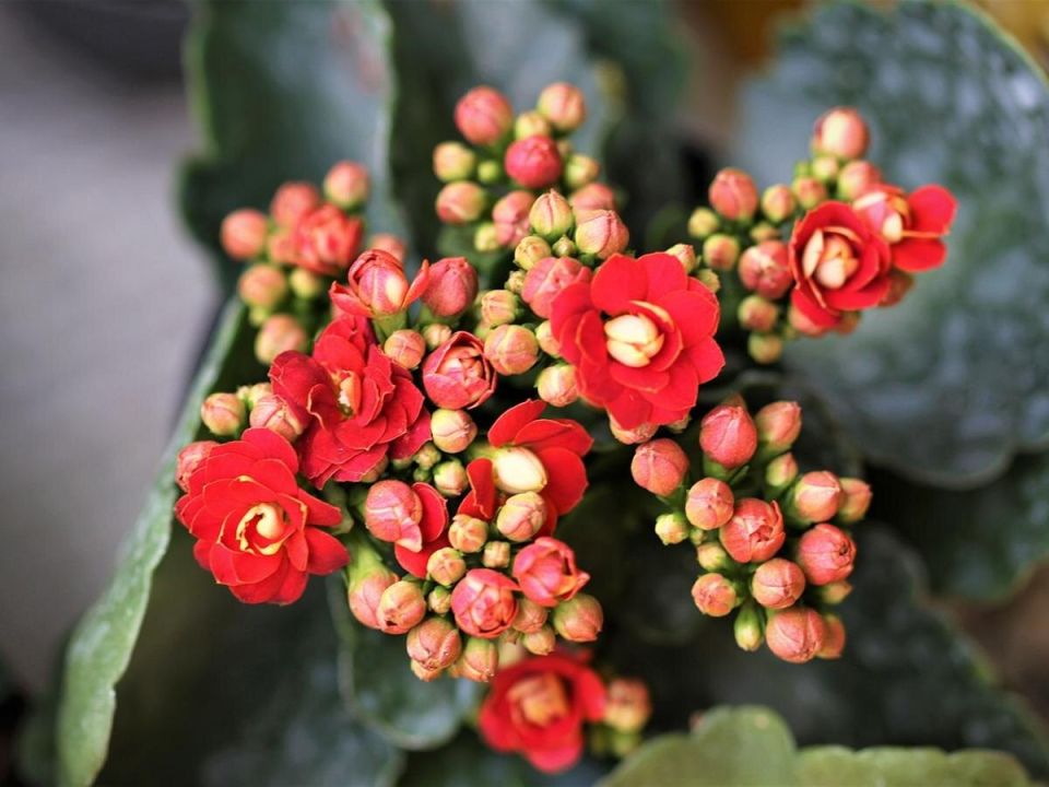 ��������: ������� �������� � ����� �� ���������