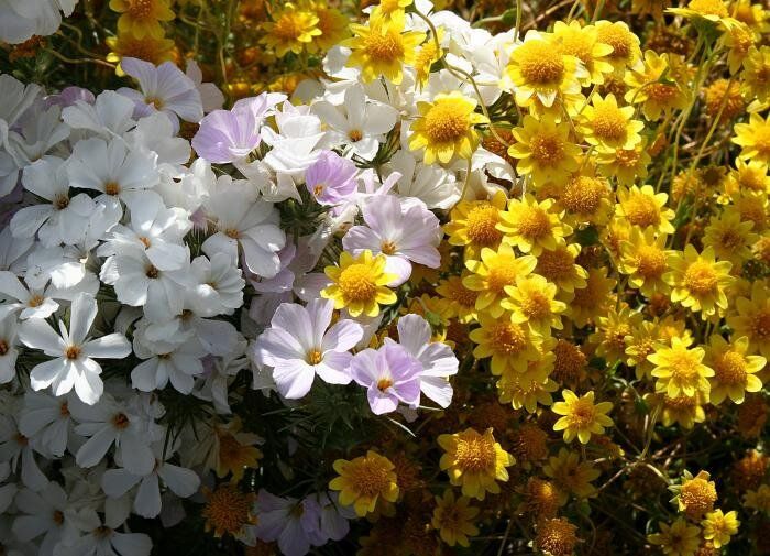 ����������: ������������ �������� ��� ������ ����