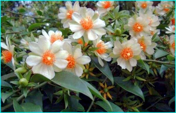 ��������: ������������ ������ � ������������ ������