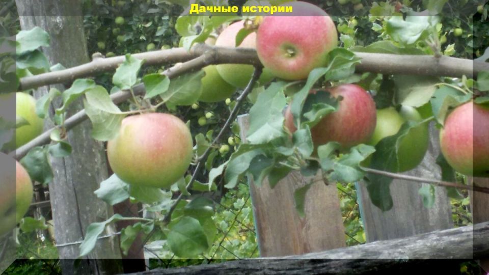 ��� ������� � ��������� ������ � �����: ������ ��� ��������� ������