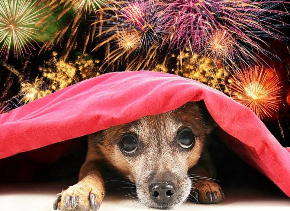 ������ � ���������� ����������: ��� �������� ������� �� �������