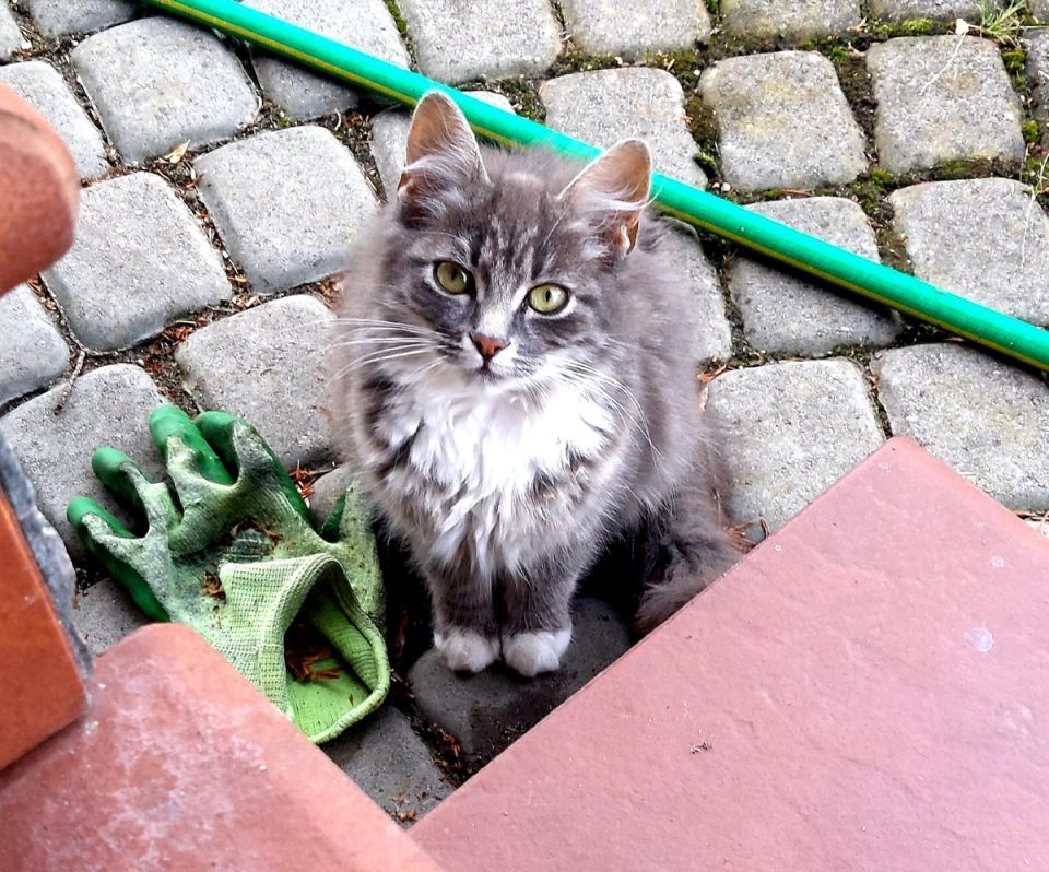 ����� � ����������� ����, �������� ��������� ����