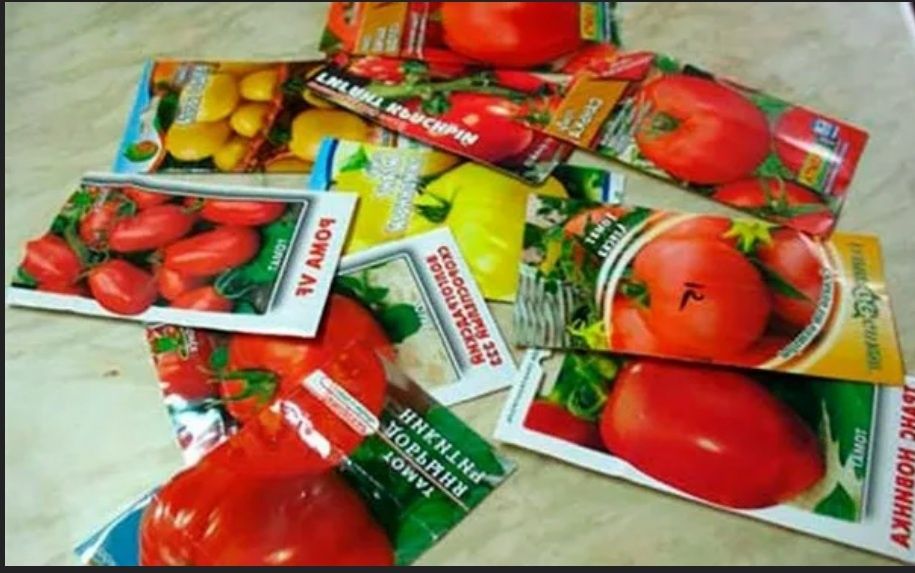 ����������� ����� ������ ������� ��� ������ ������