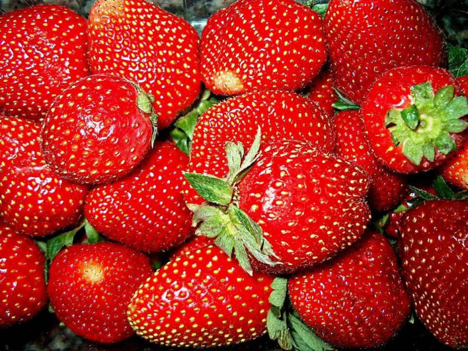 ���������� ���� ������� �����: ��� ������� ��������� �������� � ����� ����