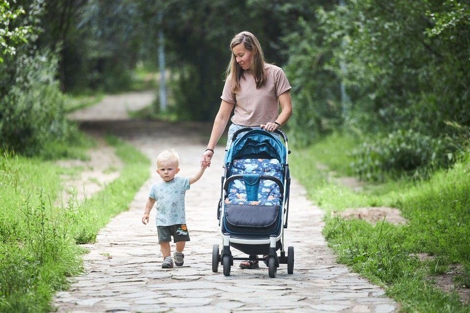 ������ ������� � ������: ���������� ��� �����������