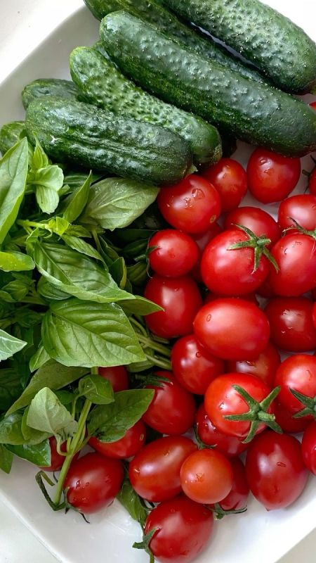 �����: ���� � �������� � ����������