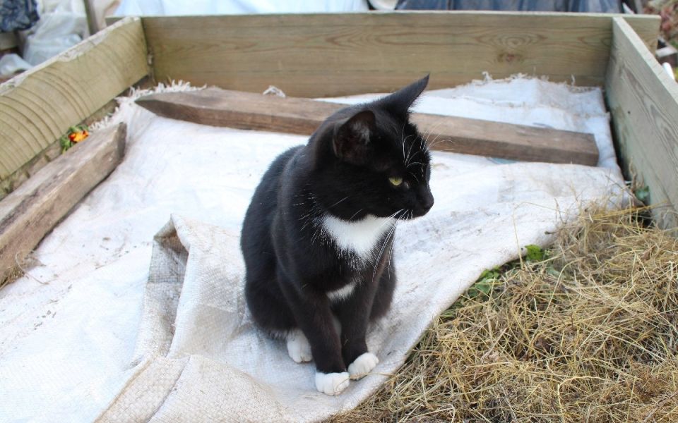 ������� ������������� �����: ��� ������� ������ ����� ��� ������ �������