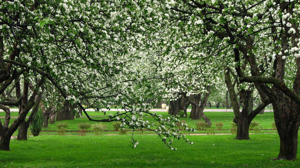 ���� ��� ��������: ������� ��������� ����� �� ����������