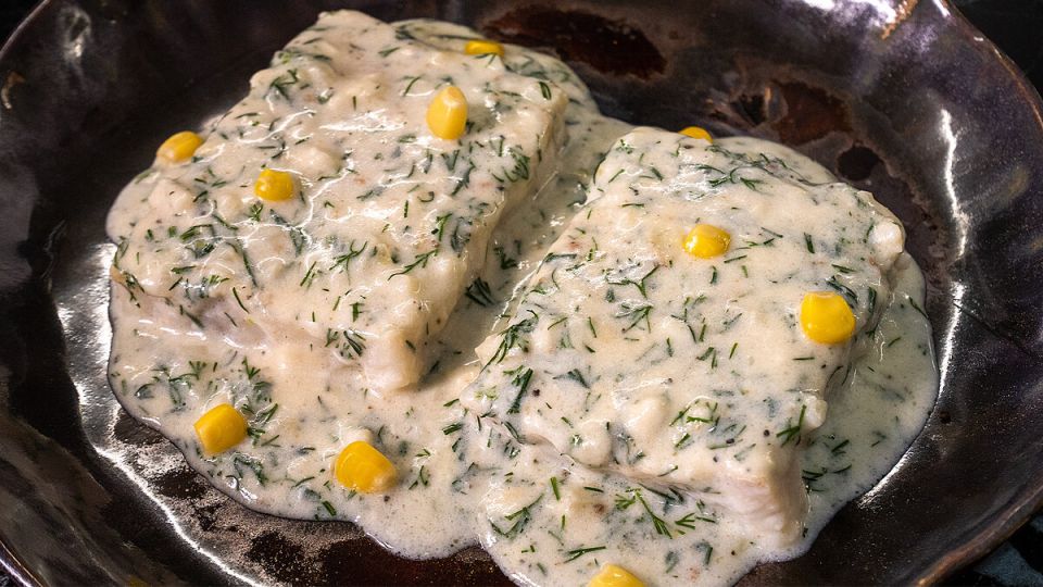 ���� �� 15 �����: ������� ������ � ������ �������� � ��������