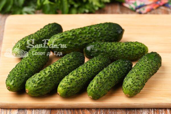 Простые и вкусные: 5 салатов из огурцов за 10 минут