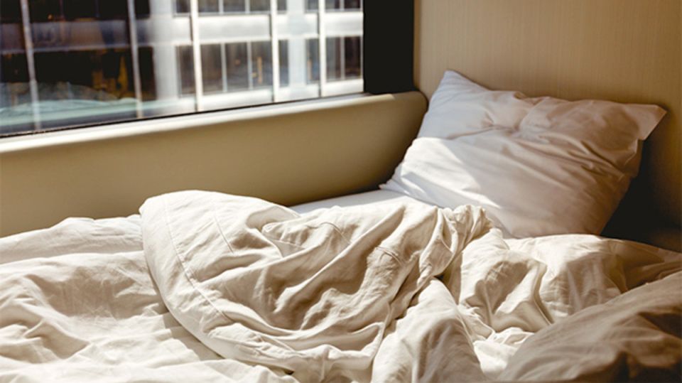 7 ������, �� ������� �������� �������� ������� � ����� ���������� ������