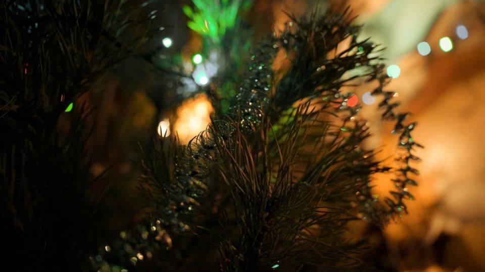 ��� ������� � ���� ��������� �������� � ���� � ������� ������� �����