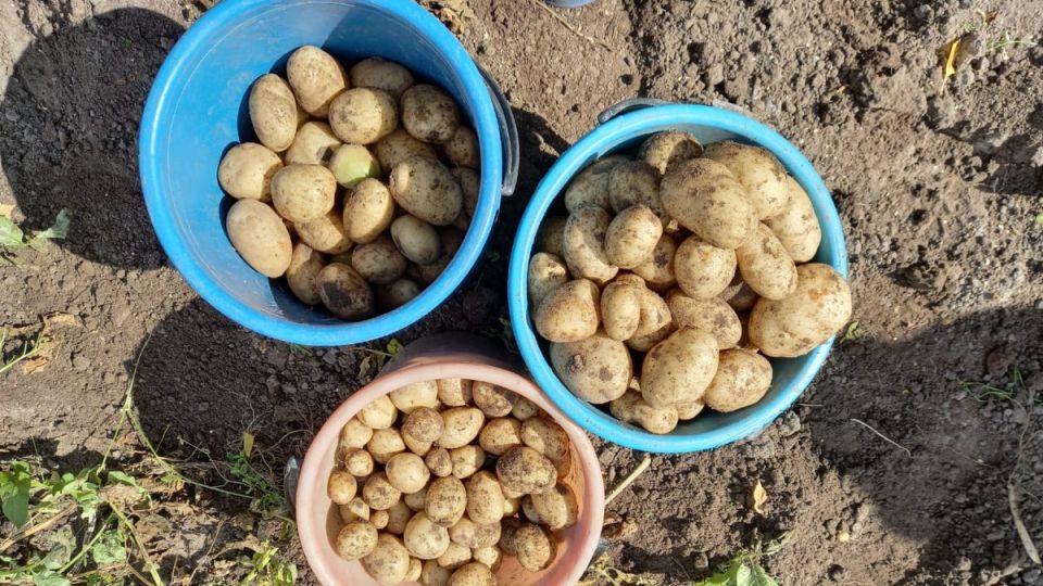 ��� ��������� ������� ��� ���������� ������ ���������