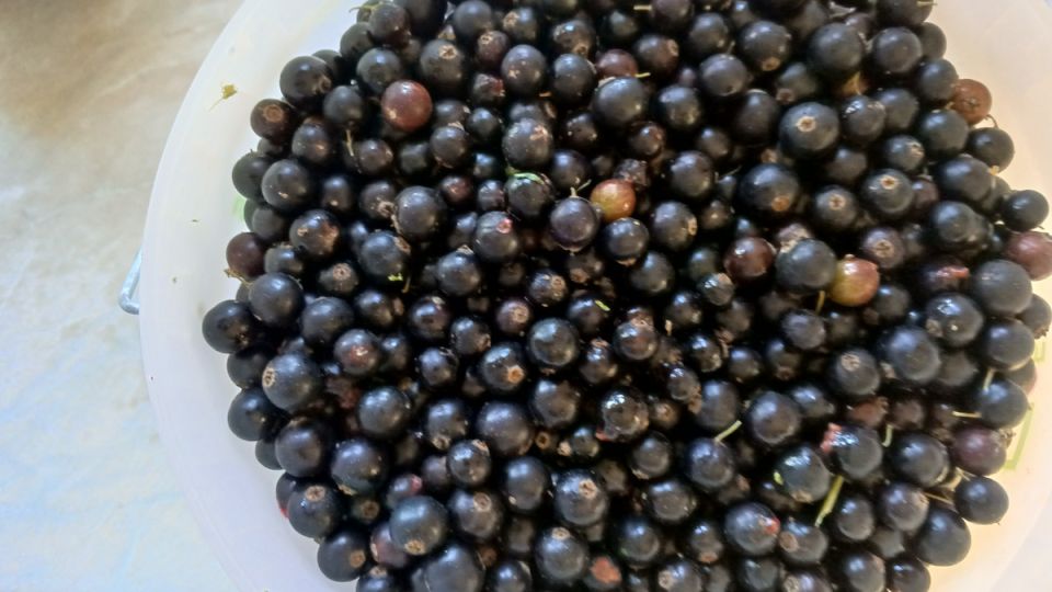 ������ �������� �� �����: ��������� ���������� ��������� �� ���� � ������ ����� ���� ������ �������