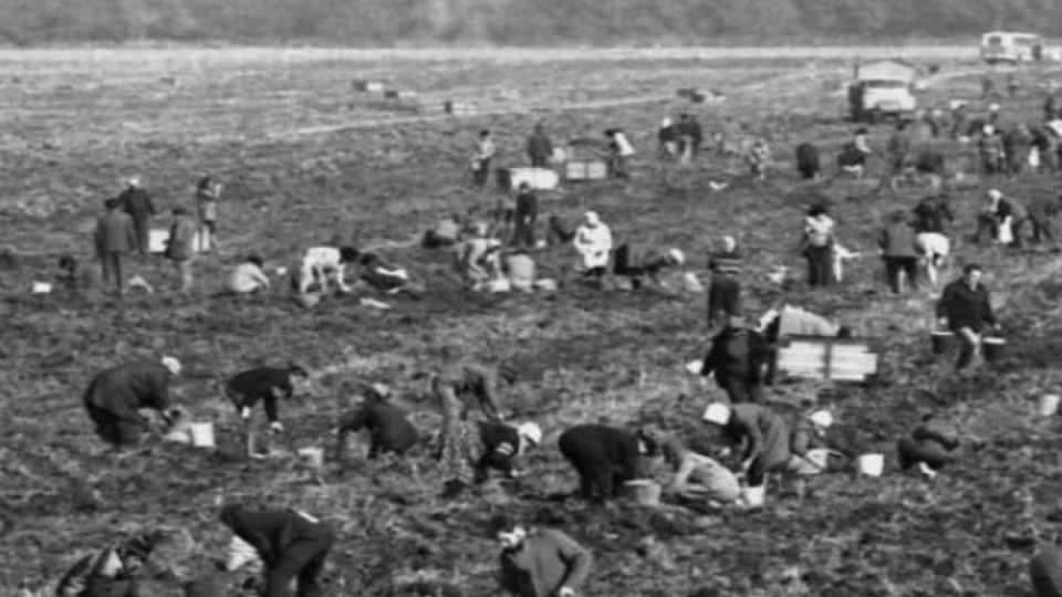 Какое время было: фотографии, которые возвращают в прошлое и напоминают о простых радостях