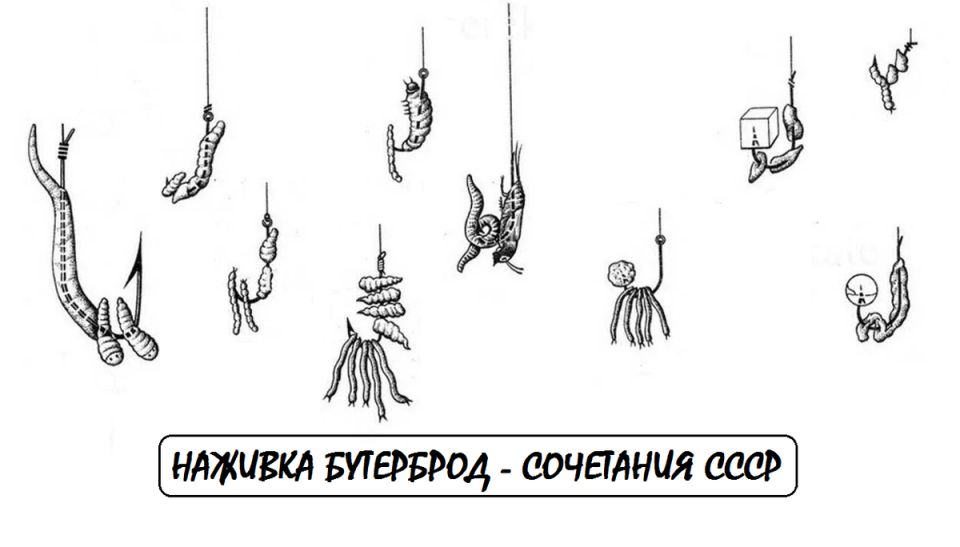 ����� ������ � ���� �������: ��� ������� ���� �������� �������