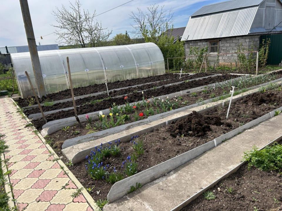 ������ ��������� �� �����: ��� ������� ���������� ��� ������