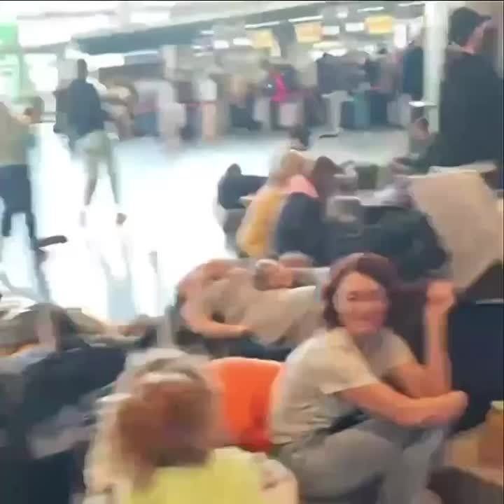     :   ,       