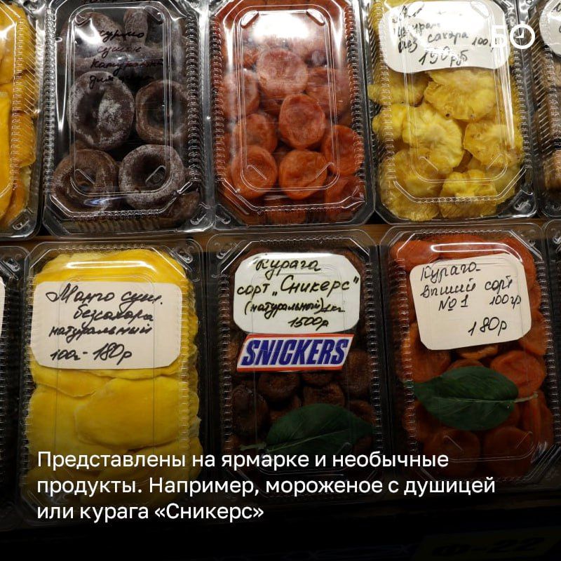          : KazanForum