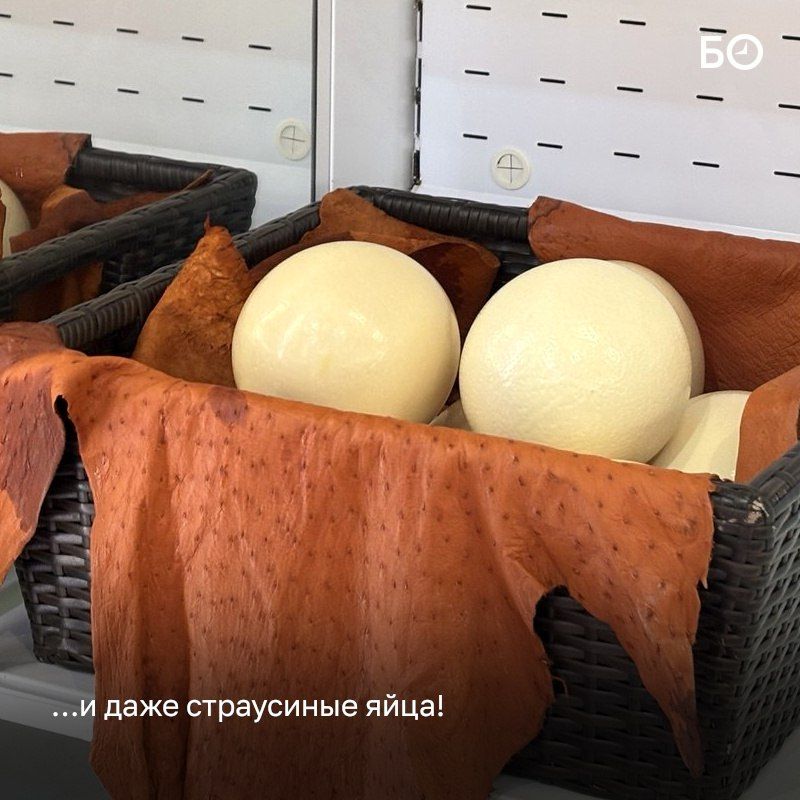          : KazanForum
