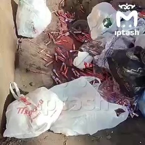  -   ,   ,       