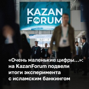    ,       .      [ 2024 ]  3,1  .   !,        ...