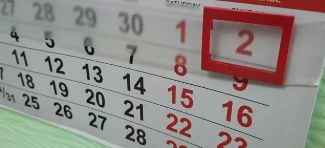      31   