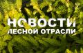 ТАСС: В Бурятии площадь лесных пожаров за сутки снизилась почти до 15,3 тыс