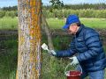 Отложили дела, чтобы сделать свой вклад в экологию!