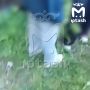 Девочка-подросток избила одноклассницу в Азино, друзья снимали на видео