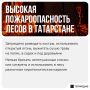 Татарстанцев предупредили о высокой пожароопасности лесов