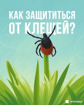  7        -  