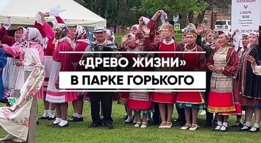 В парке имени Горького прошел фестиваль в рамках проекта «Древо жизни»