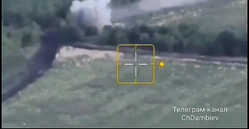  :  fpv-    &quot;&quot;          International MaxxPro    - 