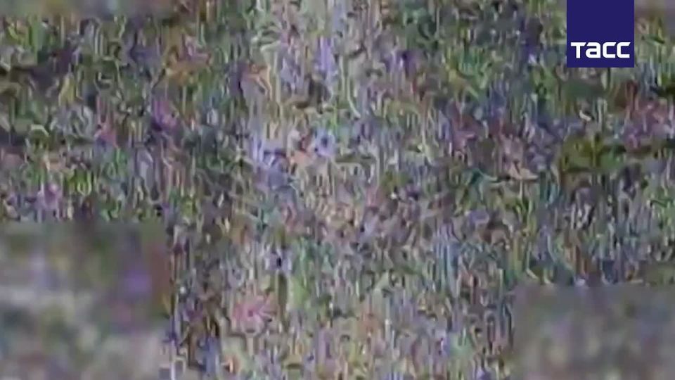  :  FPV- &quot;&quot;     ,  