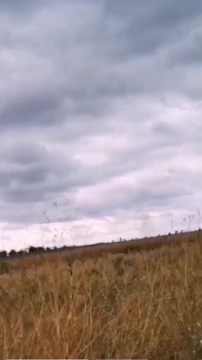  :  