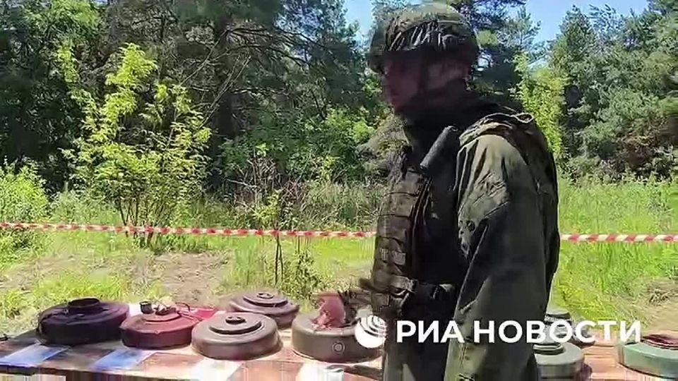  :    ,        