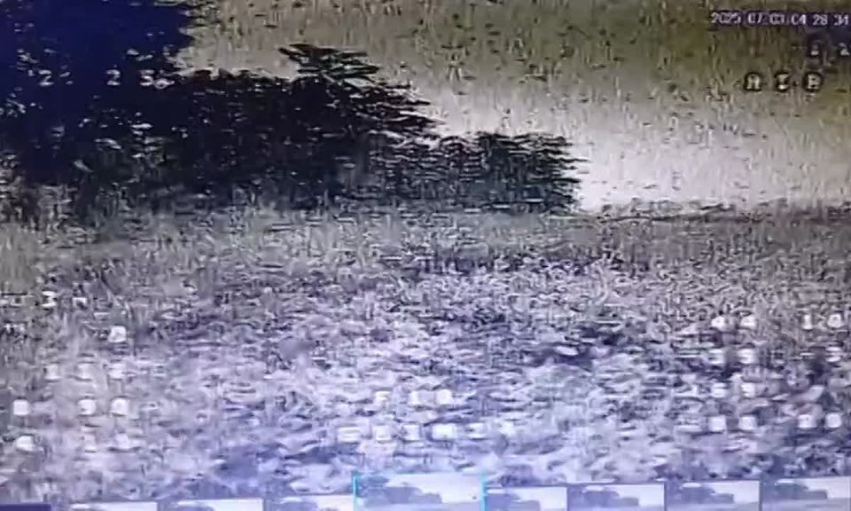  :  ,    