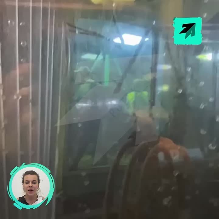               ,    