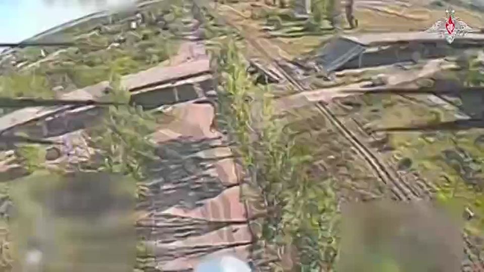  :  FPV-       