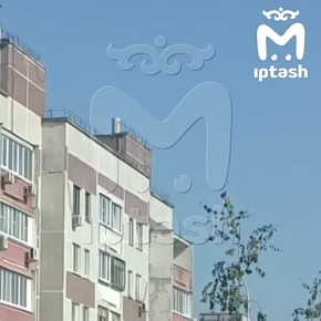  ,   ,    