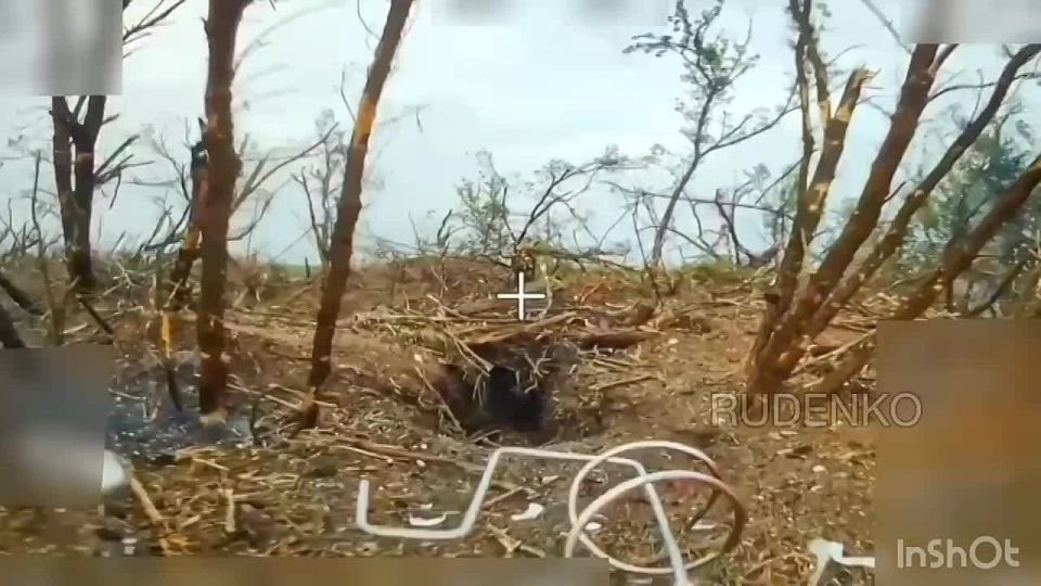  :  FPV-         