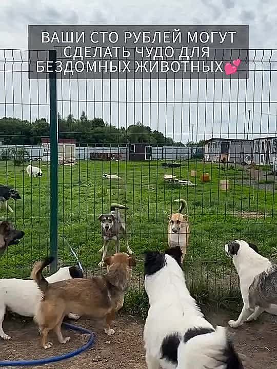  :  .         