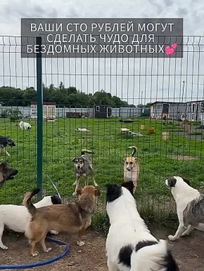  :  .         