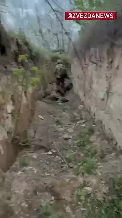  :       :