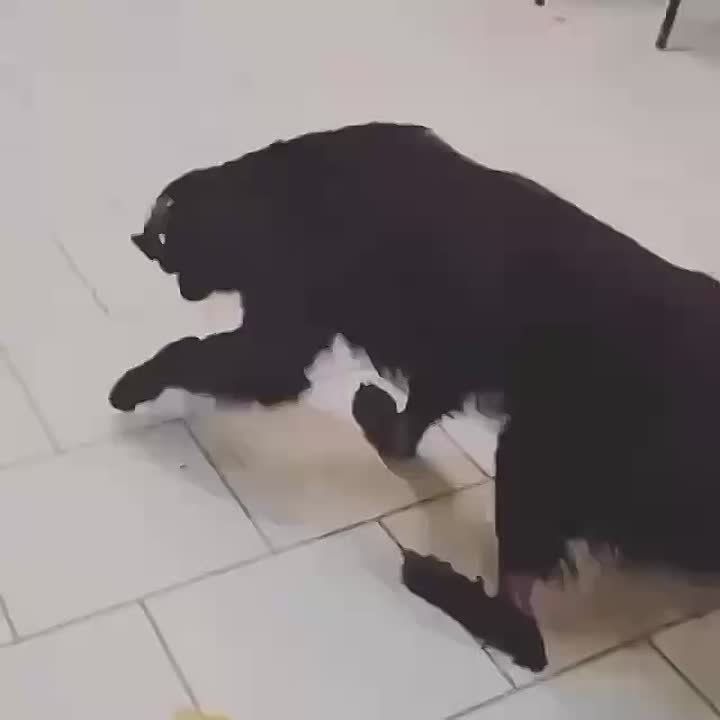  :   .       