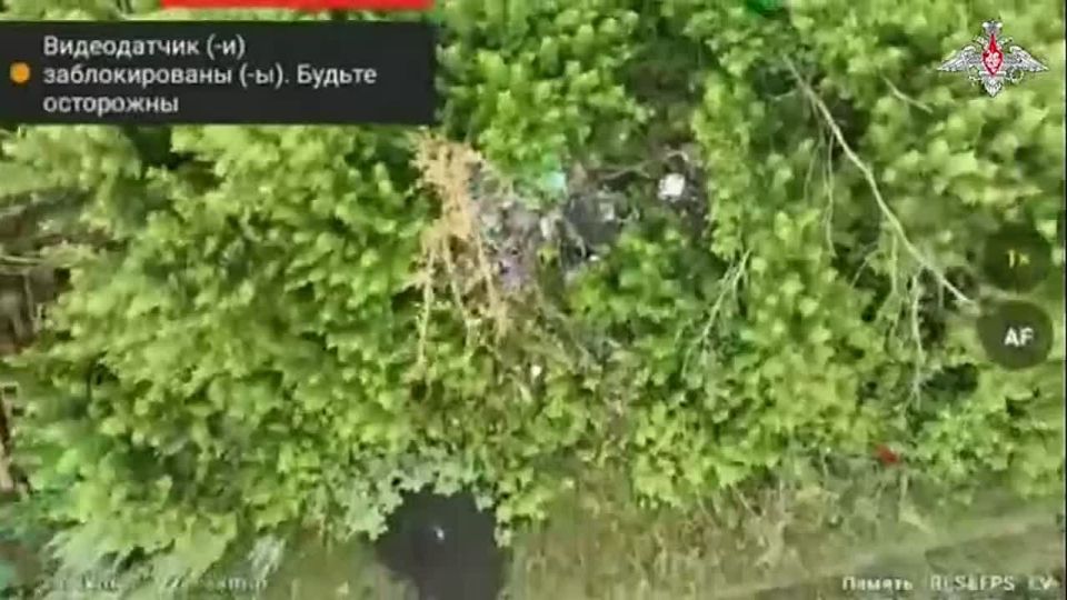  :     
