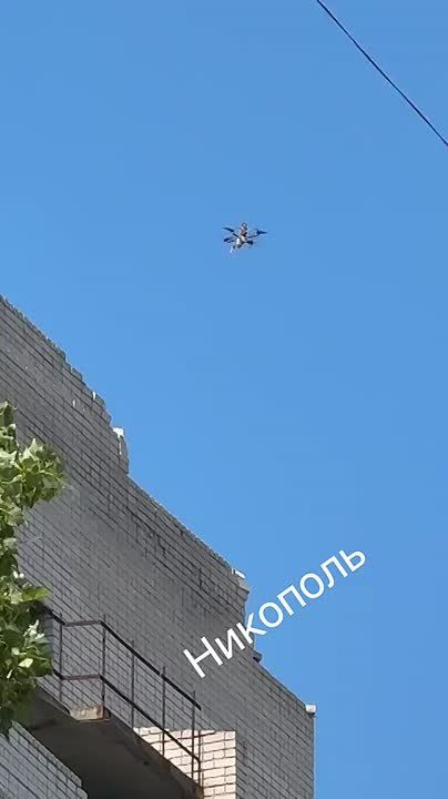  :  fpv-       ..    